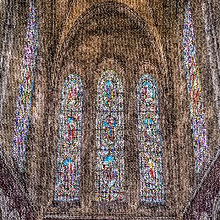 Patterned Red Novelty Rug, pat3422