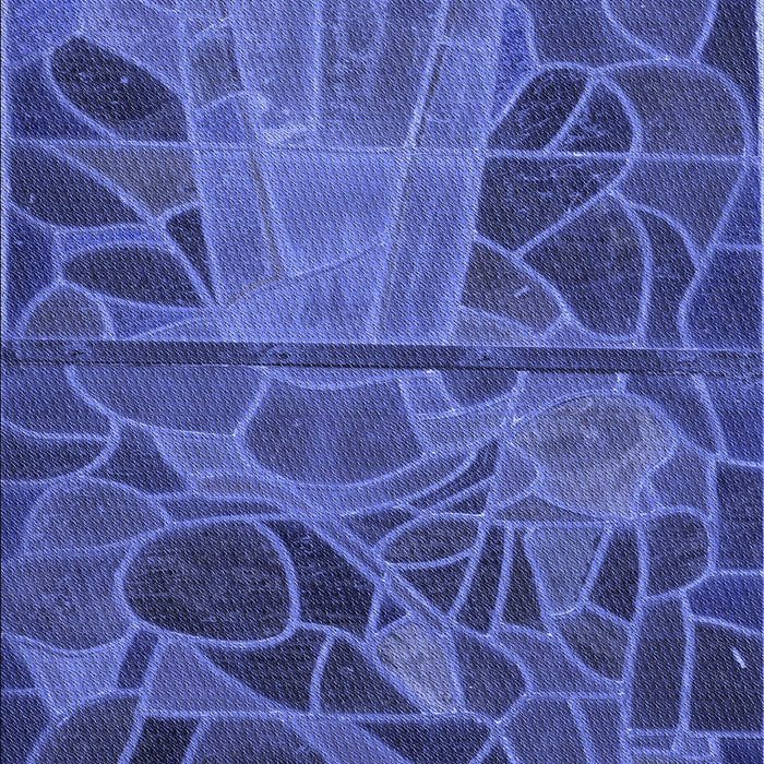 Machine Washable Transitional Light Slate Blue Rug, wshpat3423blu