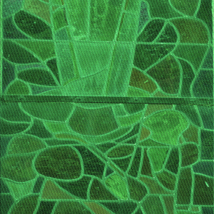 Machine Washable Transitional Green Rug, wshpat3423grn