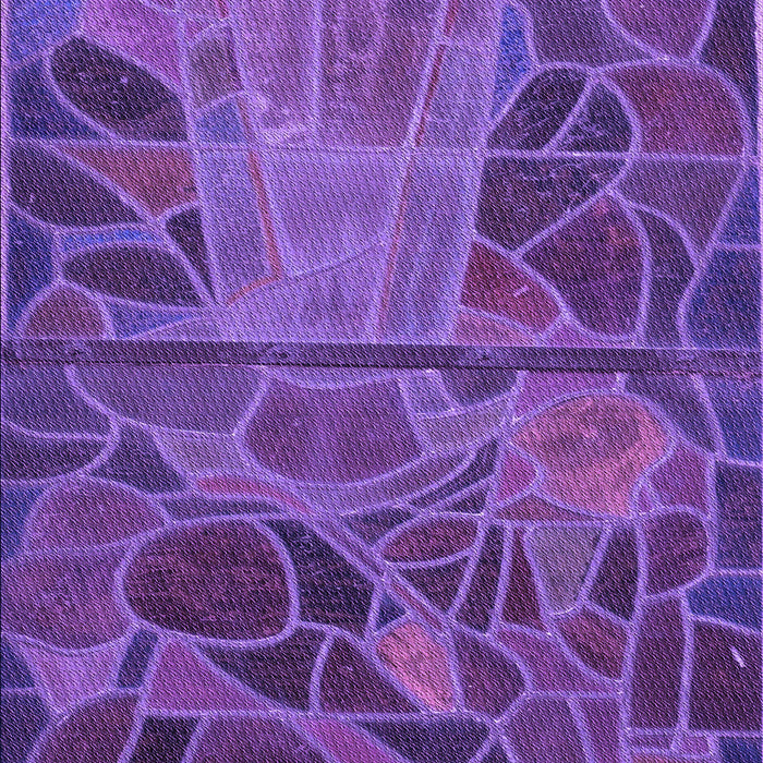 Machine Washable Transitional Bright Purple Rug, wshpat3423pur