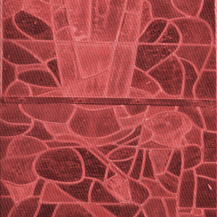 Patterned Red Rug, pat3423rd