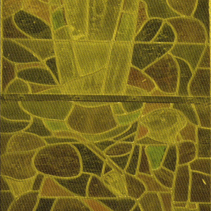 Patterned Dark Bronze Brown Rug, pat3423yw