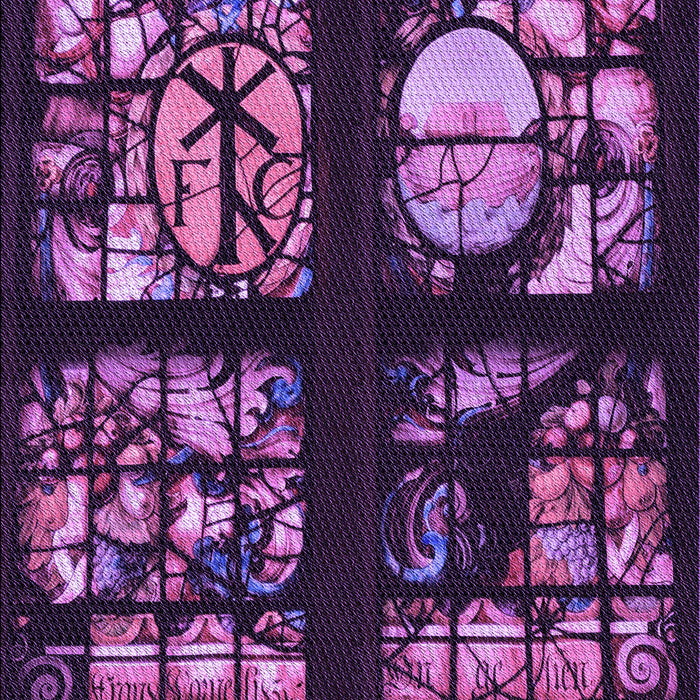 Machine Washable Transitional Dark Purple Rug, wshpat3424pur