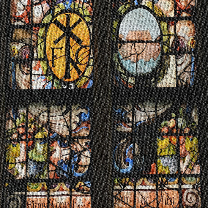 Patterned Dark Almond Brown Novelty Rug, pat3424