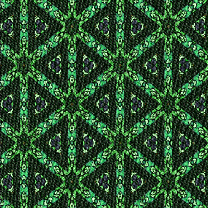 Machine Washable Transitional Black Rug, wshpat3427grn