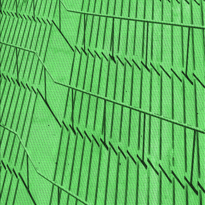 Machine Washable Transitional Neon Green Rug, wshpat3429grn