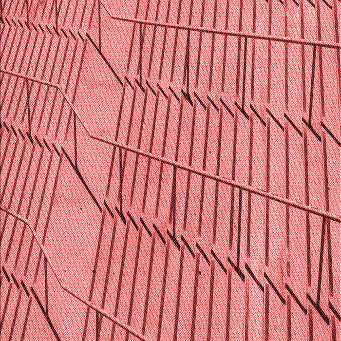 Machine Washable Transitional Light Coral Pink Rug, wshpat3429rd