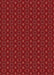 Machine Washable Transitional Red Rug, wshpat343rd