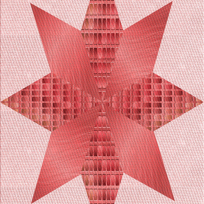 Machine Washable Transitional Pink Rug, wshpat3431rd