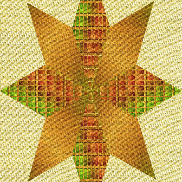 Machine Washable Transitional Sedona Brown Rug, wshpat3431yw