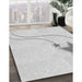 Machine Washable Transitional Platinum Gray Rug in a Family Room, wshpat3432gry