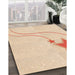 Machine Washable Transitional Moccasin Beige Rug in a Family Room, wshpat3432org