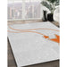 Patterned Off-White Novelty Rug in Family Room, pat3432