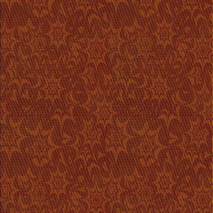 Machine Washable Transitional Mahogany Brown Rug, wshpat3441yw