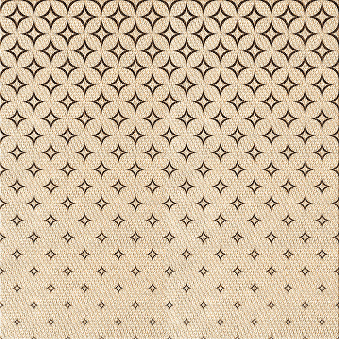 Round Machine Washable Transitional Peru Brown Rug, wshpat3443org