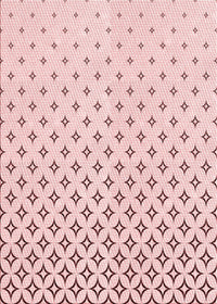 Machine Washable Transitional Pink Rug, wshpat3443rd