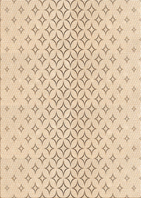 Machine Washable Transitional Peru Brown Rug, wshpat3446org