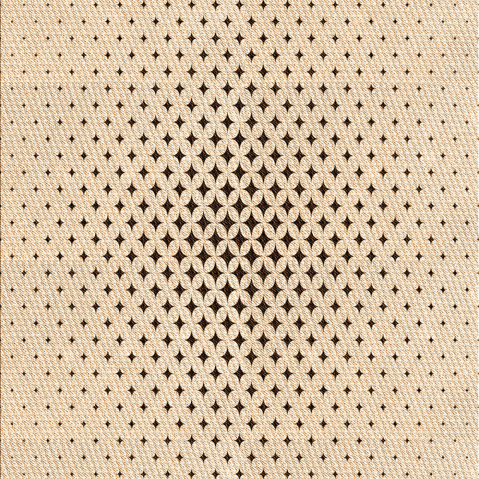 Machine Washable Transitional Peru Brown Rug, wshpat3448org