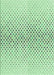 Machine Washable Transitional Mint Green Rug, wshpat3449grn