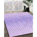 Machine Washable Transitional Purple Mimosa Purple Rug in a Family Room, wshpat3449pur