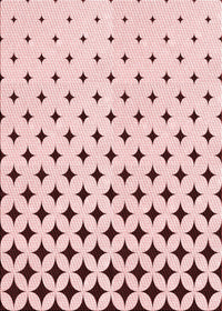 Machine Washable Transitional Pink Rug, wshpat3452rd