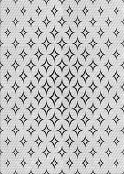 Patterned Gray Novelty Rug, pat3453