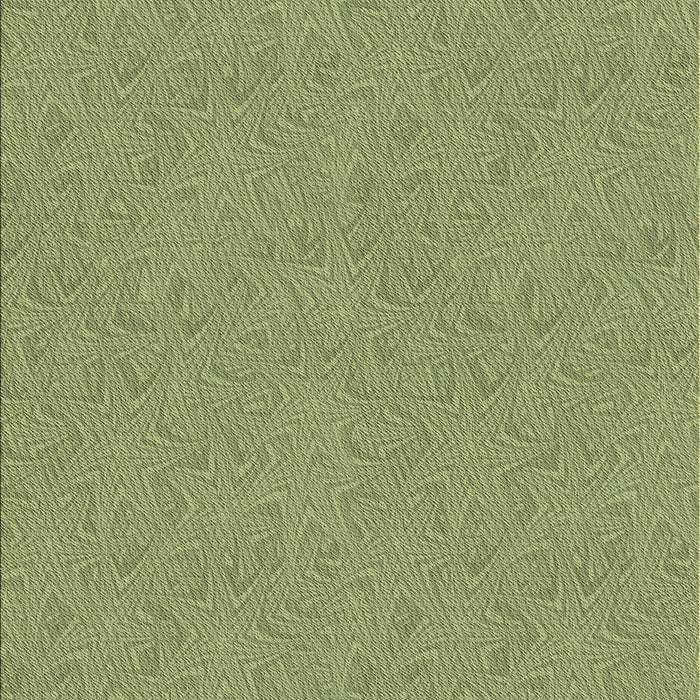 Machine Washable Transitional Olive Green Rug, wshpat3454brn