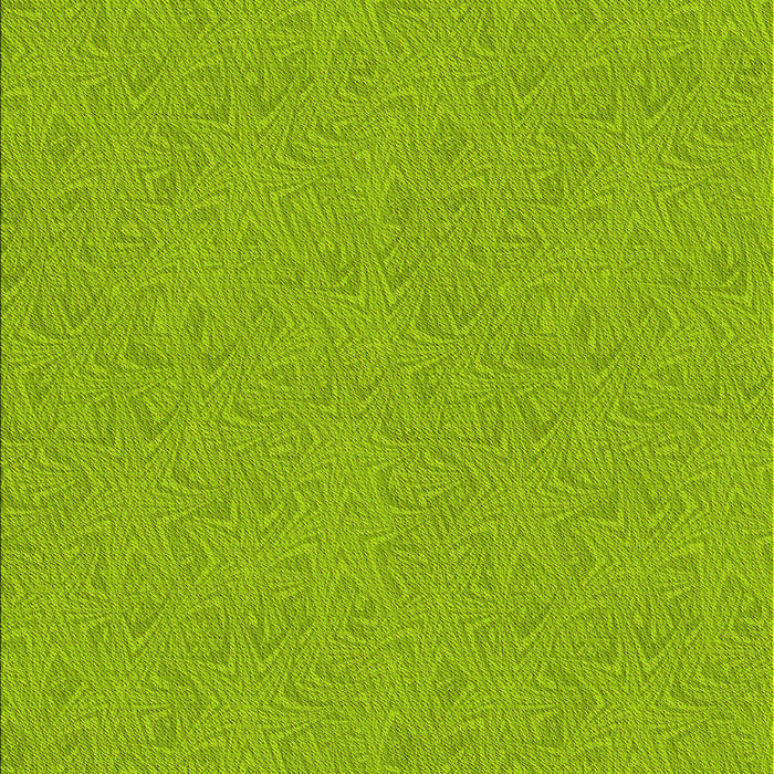 Machine Washable Transitional Green Rug, wshpat3454yw