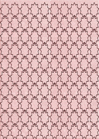 Machine Washable Transitional Pink Rug, wshpat3455rd