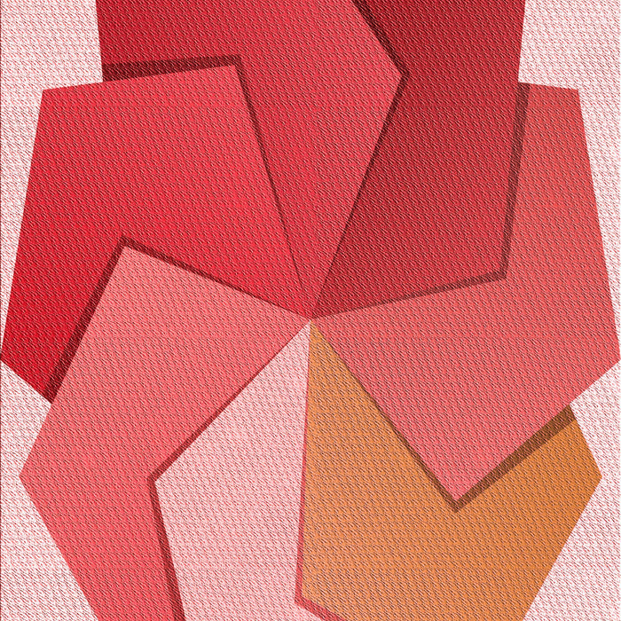 Patterned Light Salmon Pink Rug, pat3457rd