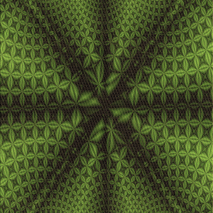 Patterned Dark Forest Green Rug, pat346brn