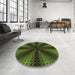 Round Patterned Dark Forest Green Rug in a Office, pat346brn