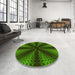 Round Patterned Dark Lime Green Rug in a Office, pat346yw