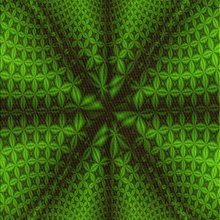 Patterned Dark Lime Green Rug, pat346yw