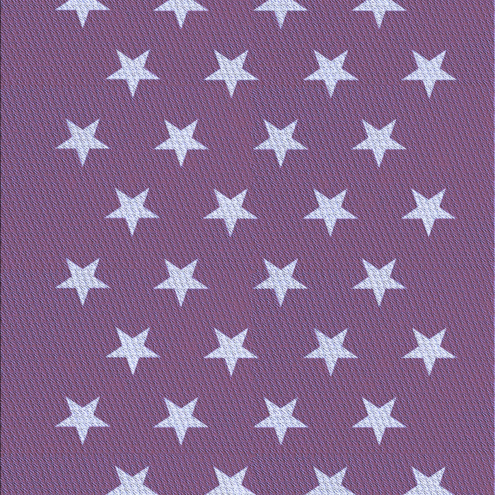 Machine Washable Transitional Lilac Purple Rug, wshpat3461blu