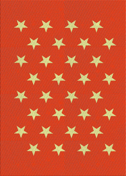 Patterned Orange Red Novelty Rug, pat3461