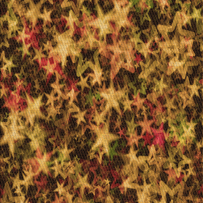 Machine Washable Transitional Sedona Brown Rug, wshpat3466org