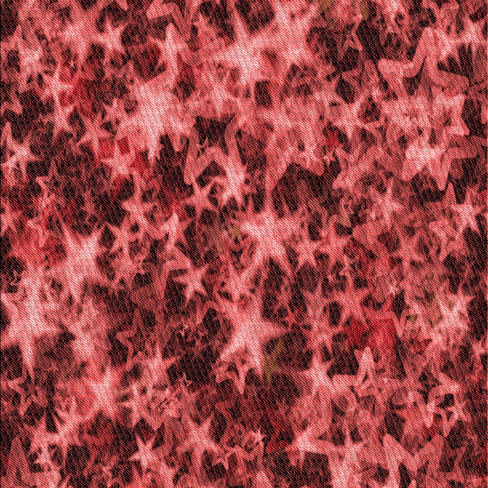 Machine Washable Transitional Cranberry Red Rug, wshpat3466rd