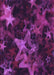 Machine Washable Transitional Dark Orchid Purple Rug, wshpat3467pur