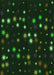Machine Washable Transitional Deep Emerald Green Rug, wshpat3468grn