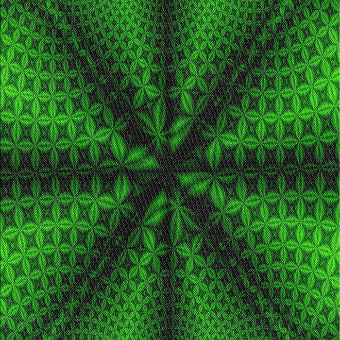 Machine Washable Transitional Dark Forest Green Rug, wshpat346