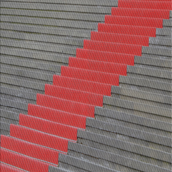 Patterned Brown Red Novelty Rug, pat3475