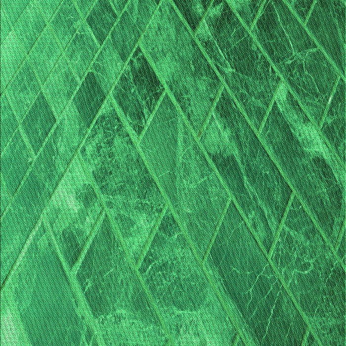 Machine Washable Transitional Neon Green Rug, wshpat3476grn