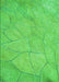 Patterned Neon Green Rug, pat3477grn