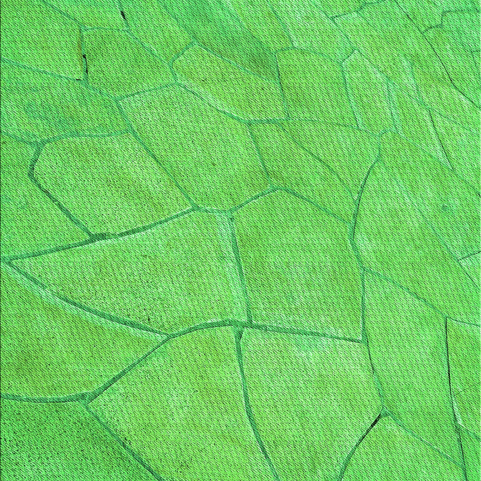 Machine Washable Transitional Neon Green Rug, wshpat3477grn