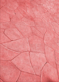 Machine Washable Transitional Light Coral Pink Rug, wshpat3477rd