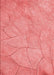 Machine Washable Transitional Light Coral Pink Rug, wshpat3477rd