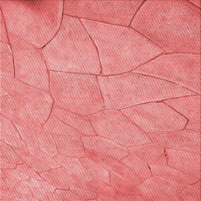 Round Machine Washable Transitional Light Coral Pink Rug, wshpat3477rd