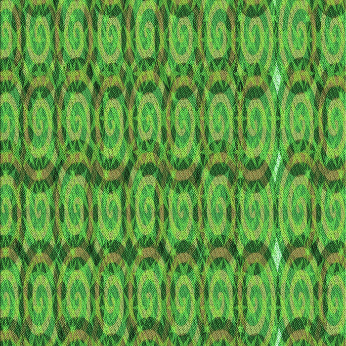 Machine Washable Transitional Green Rug, wshpat3488grn