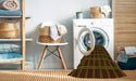 Machine Washable Transitional Dark Bronze Brown Rug in a Washing Machine, wshpat349yw